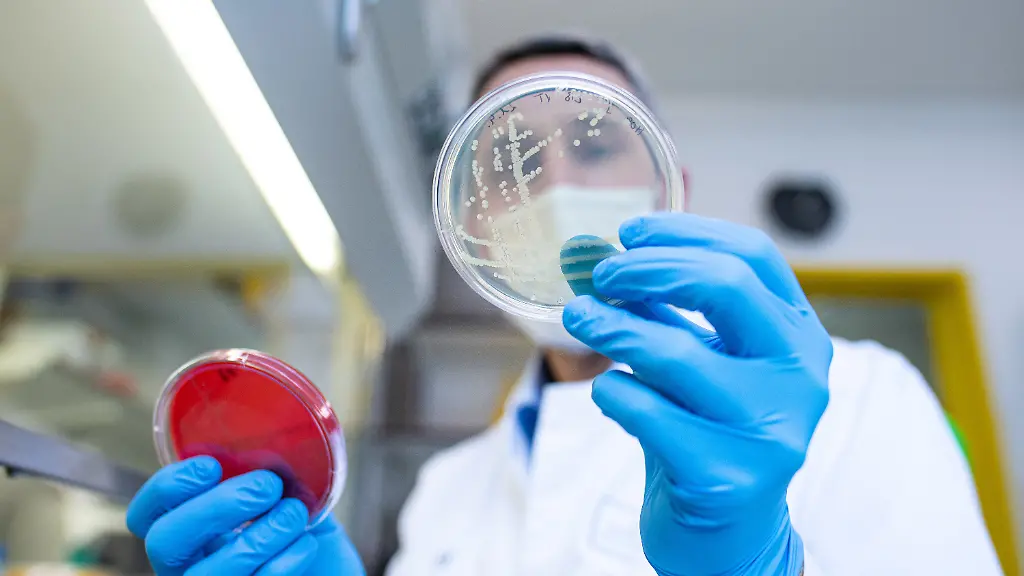 3a6e8c9e6fa2542059c7e0af4fb76c98