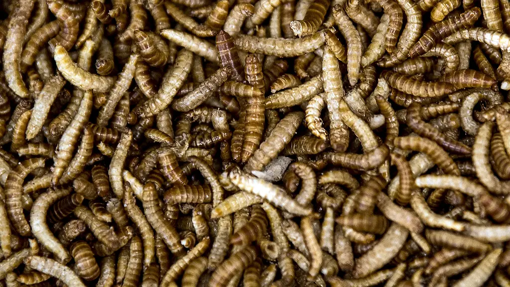 60c25a98a2b2593c438cd45bf16a10a4