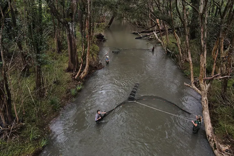 2021-04-27T010723Z-741469482-RC214N93V6Q4-RTRMADP-3-AUSTRALIA-PLATYPUS