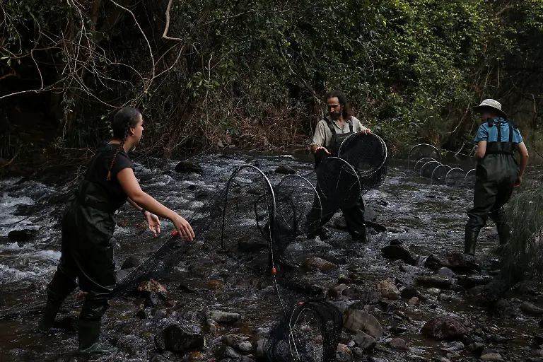 2021-04-27T010924Z-902929695-RC214N9N3S2C-RTRMADP-3-AUSTRALIA-PLATYPUS