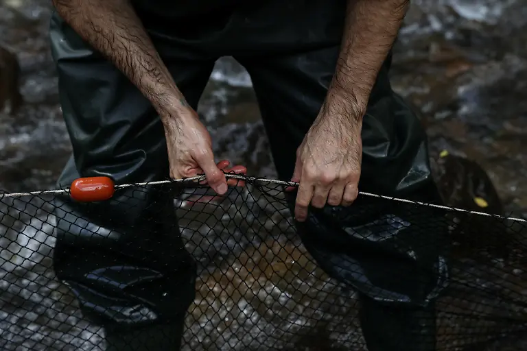 2021-04-27T010859Z-677120318-RC214N9YGNRG-RTRMADP-3-AUSTRALIA-PLATYPUS