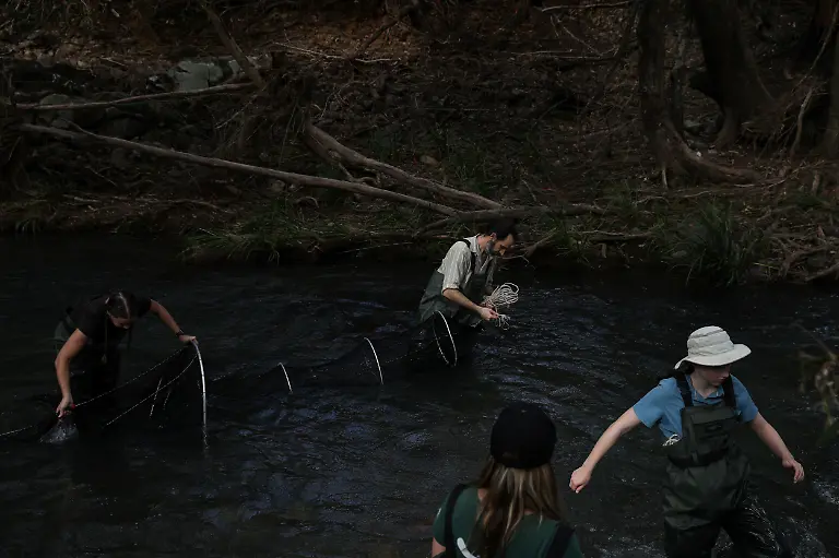 2021-04-27T010825Z-1219295012-RC214N9B5ZCA-RTRMADP-3-AUSTRALIA-PLATYPUS