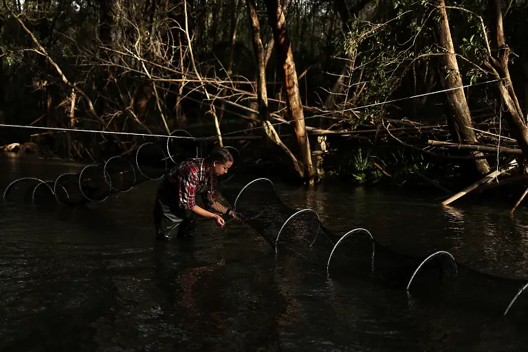 2021-04-27T010712Z-218396738-RC214N9GOD6G-RTRMADP-3-AUSTRALIA-PLATYPUS