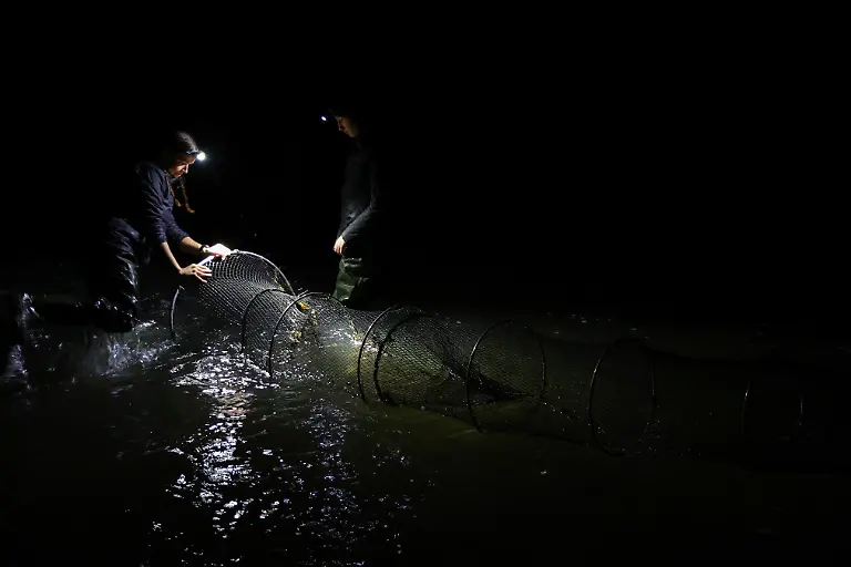 2021-04-27T010758Z-1240428076-RC214N90MN8R-RTRMADP-3-AUSTRALIA-PLATYPUS