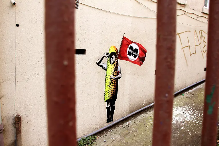 13-2014-09-LET-IT-GROW-FRANCE-LYON-01