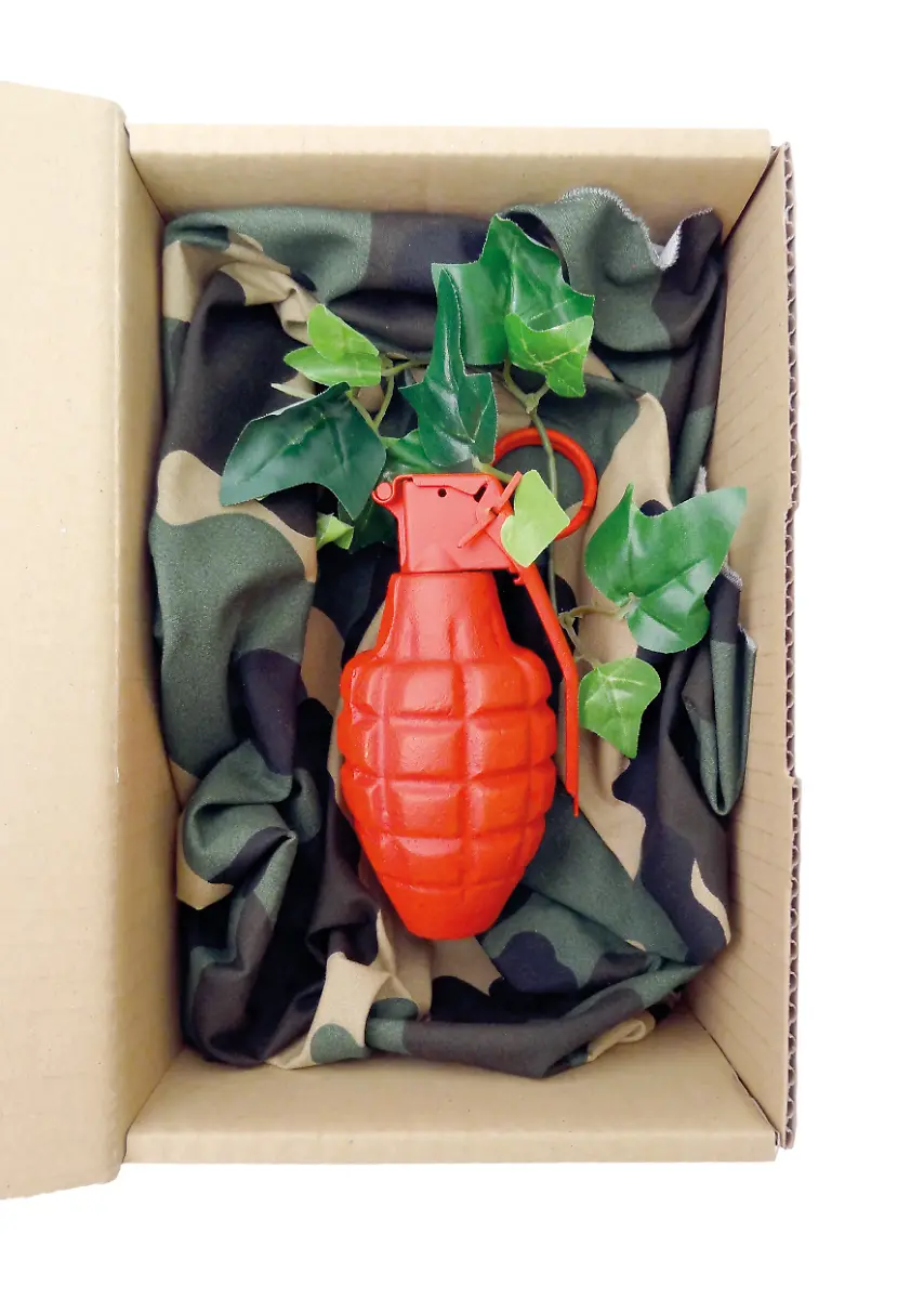 02-2011-THE-FORBIDDEN-FRUIT-22x15x8-18ex