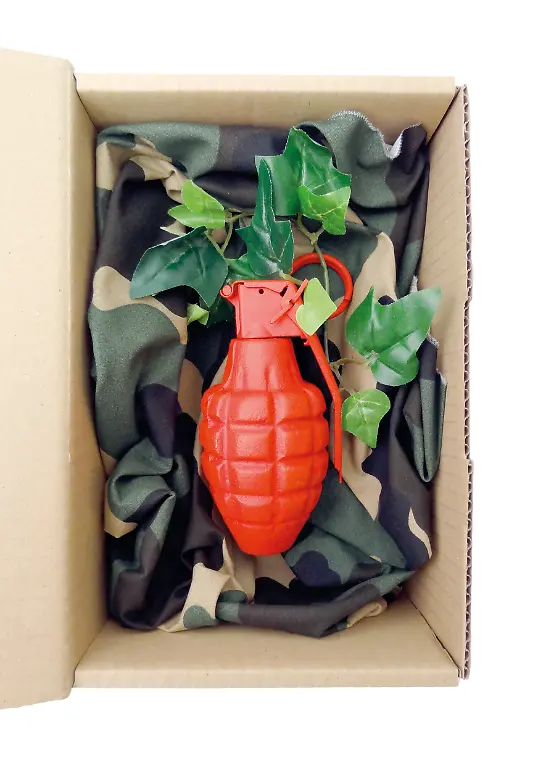 02-2011-THE-FORBIDDEN-FRUIT-22x15x8-18ex