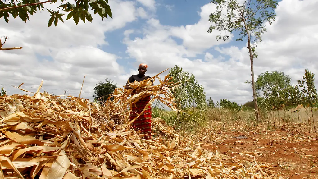 2021-04-20T090037Z-1605871330-RC2LZM9CN8IA-RTRMADP-3-EARTH-DAY-KENYA-INSURANCE