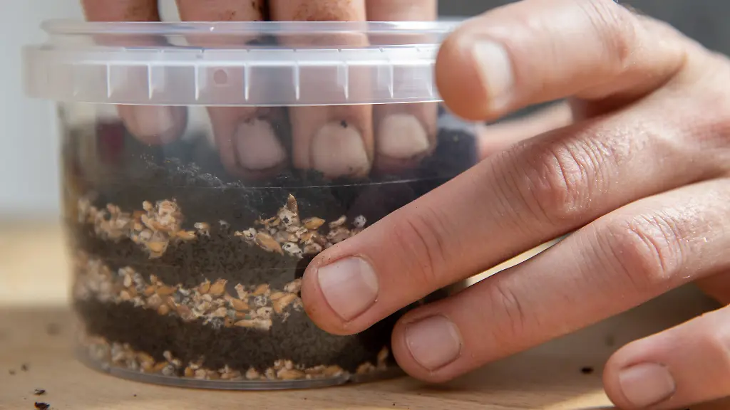 e91a68c52aab68d78d173b2425299ba1