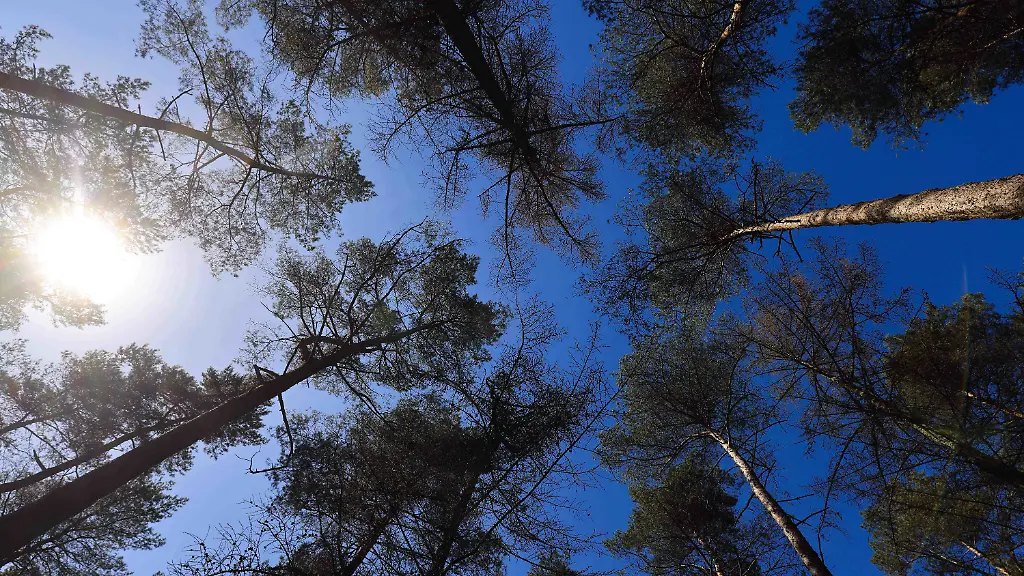 7ac24b3d36ea37977f88cf3bd806e999