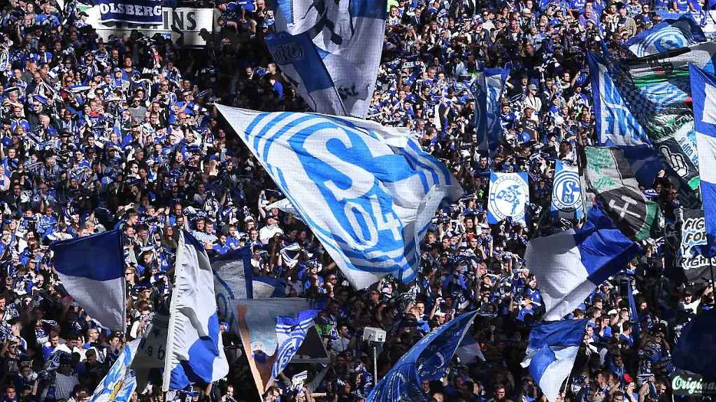 schalke-6