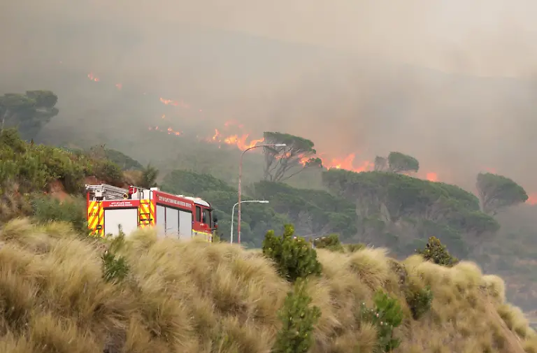 2021-04-19T074055Z-563348199-RC2VYM9UKAJ5-RTRMADP-3-SAFRICA-FIRE
