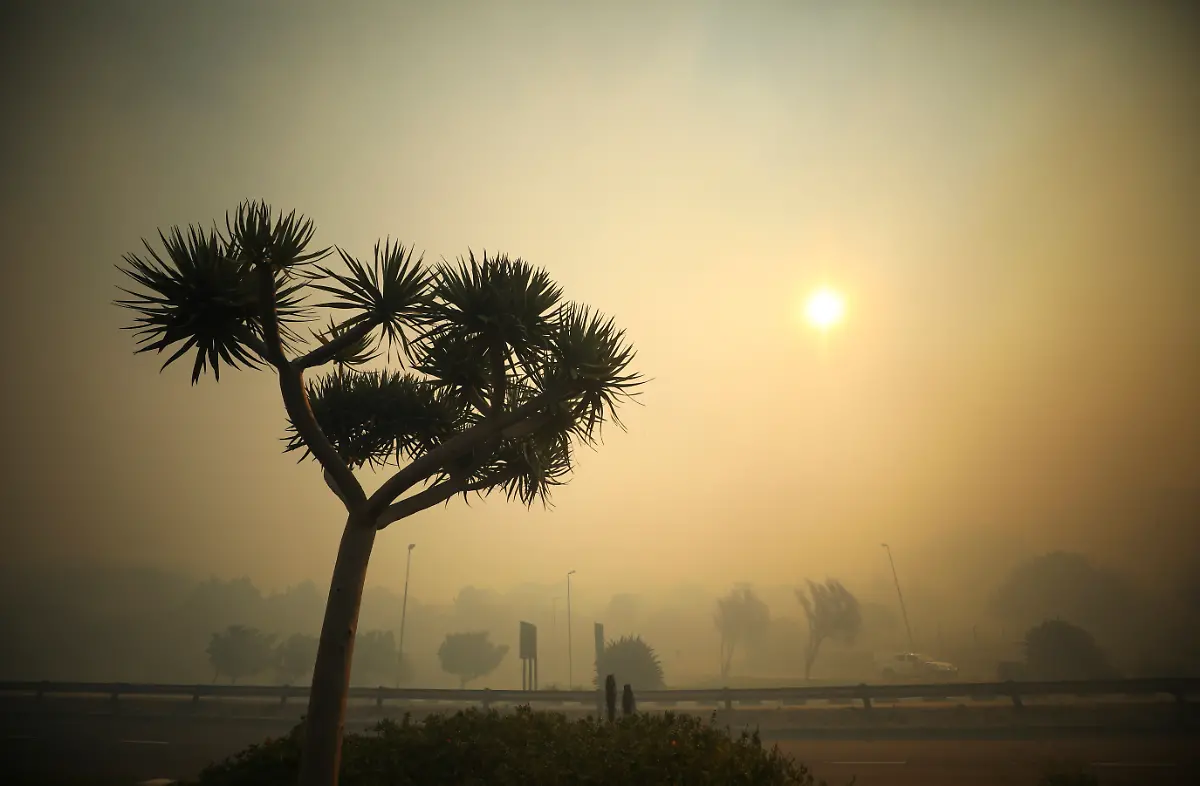 2021-04-18T164100Z-1687372982-RC2GYM9S7S4L-RTRMADP-3-SAFRICA-FIRE