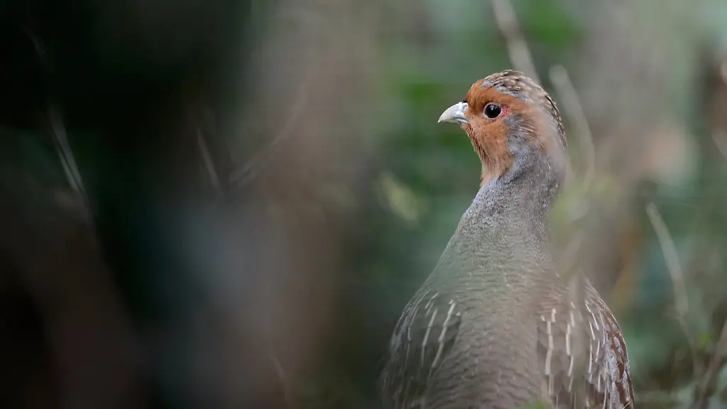 baf5354d62c6f74356052beafdea90c2