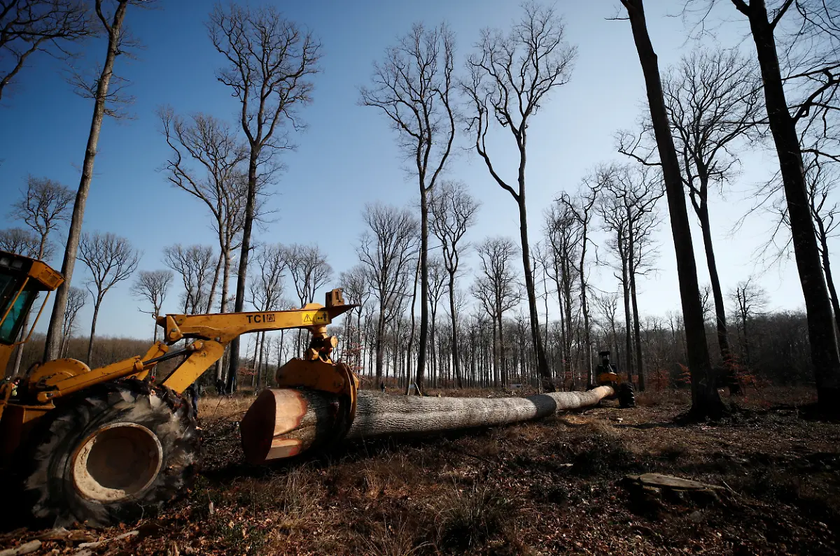 2021-03-08T171002Z-1681438304-RC257M9XNE9S-RTRMADP-3-FRANCE-NOTREDAME-OAKS