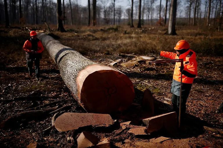 2021-03-08T183838Z-871833971-RC257M9M9GD5-RTRMADP-3-FRANCE-NOTREDAME-OAKS