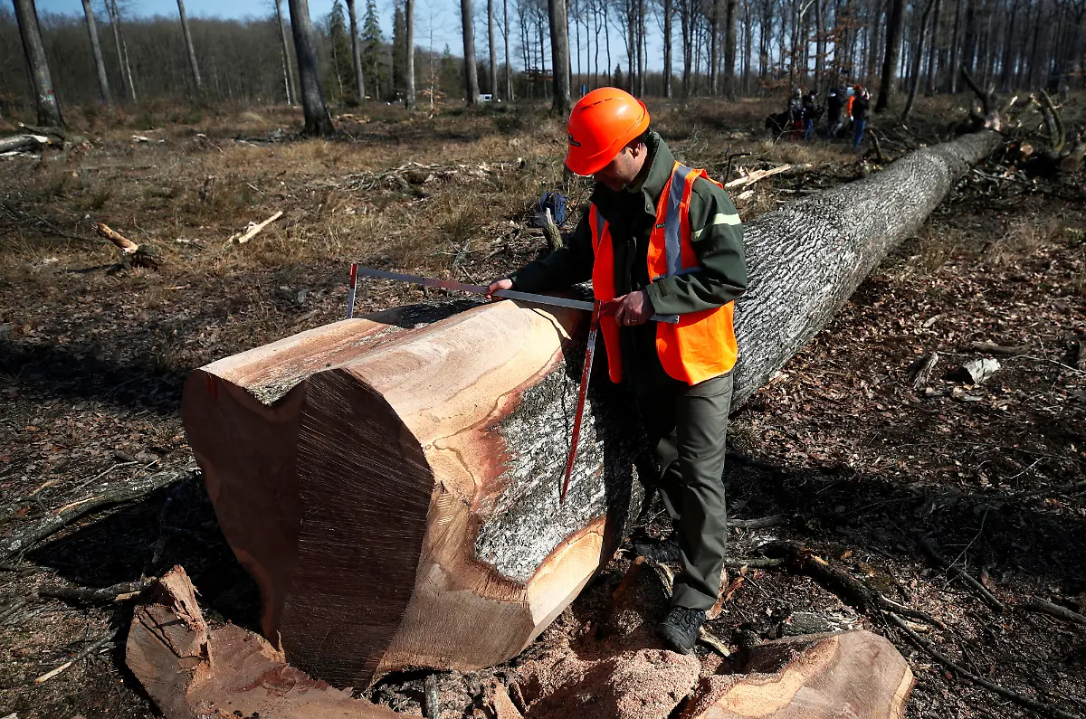 2021-03-08T170847Z-210047511-RC257M968GQS-RTRMADP-3-FRANCE-NOTREDAME-OAKS