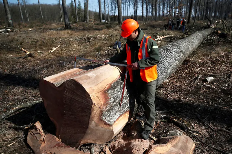 2021-03-08T170847Z-210047511-RC257M968GQS-RTRMADP-3-FRANCE-NOTREDAME-OAKS