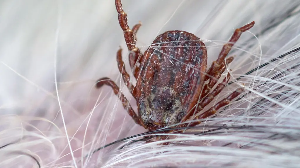 ec33bfff7f15e7ab98c96516c712f91b