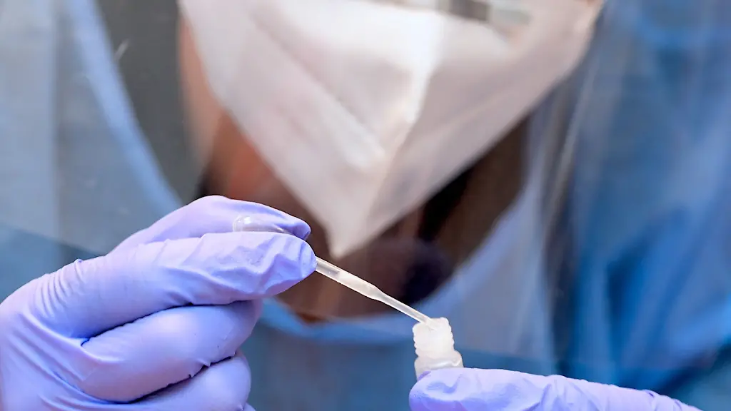 d2dea5dd9af165b4e150f0aecaadcd32