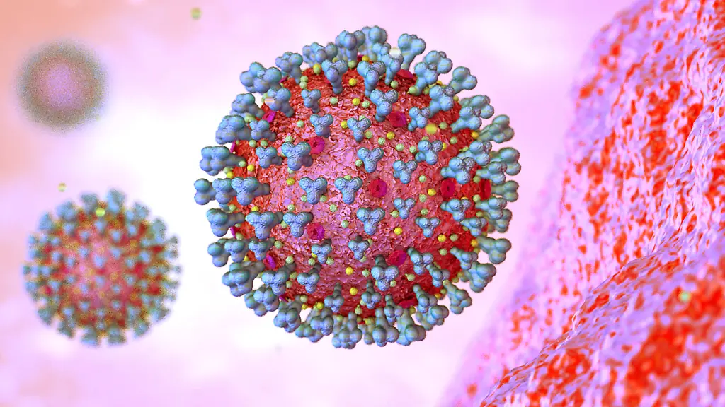 Coronavirus