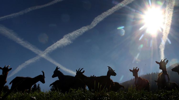 Kondensstreifen sind Zirren, Wolken aus Eispartikeln.