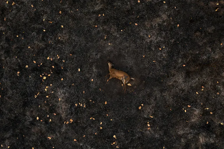 044-Lalo-de-Almeida-Panos-Pictures-for-Folha-de-Sao-Paulo