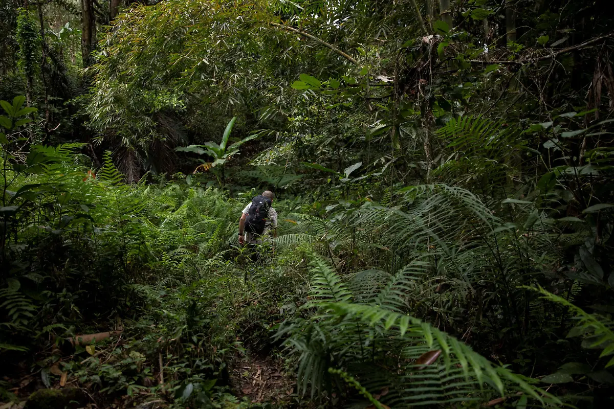 2021-03-22T230059Z-1595952792-RC2NGM9AY3NA-RTRMADP-3-HEALTH-CORONAVIRUS-PHILIPPINES-BATS