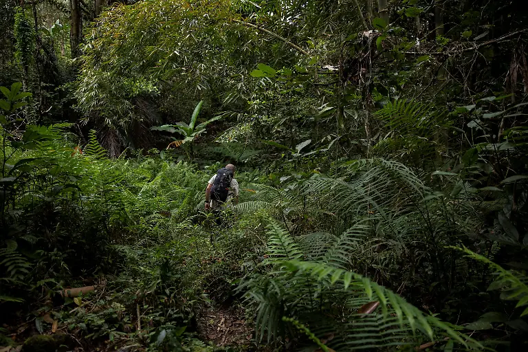 2021-03-22T230059Z-1595952792-RC2NGM9AY3NA-RTRMADP-3-HEALTH-CORONAVIRUS-PHILIPPINES-BATS