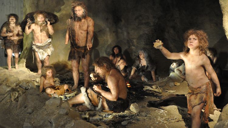 Schon seit Langem rätselt die Forschung, warum die Neandertaler ausgestorben sind.