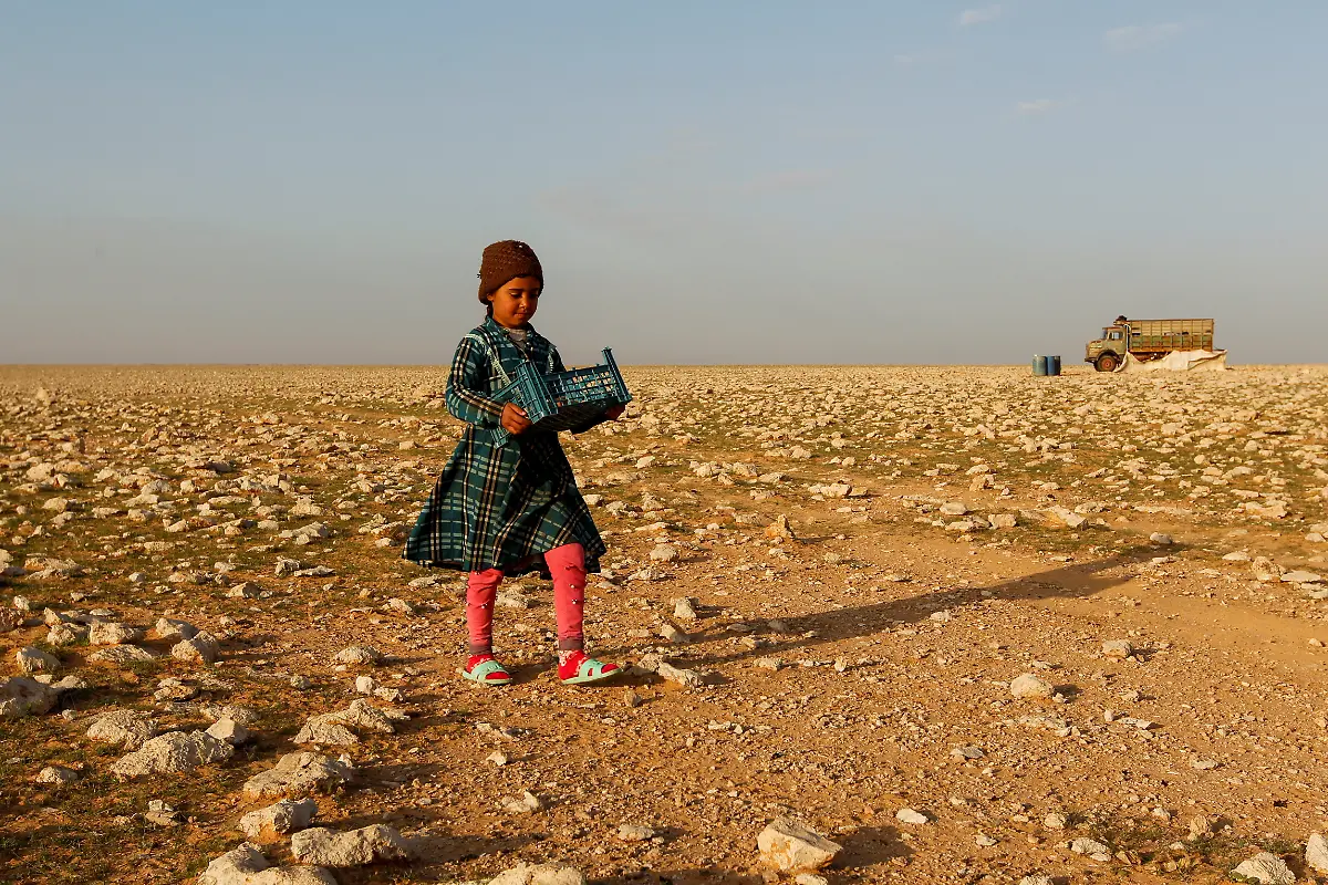 2021-03-16T100043Z-828723407-RC2ACM90OX1F-RTRMADP-3-IRAQ-TRUFFLES