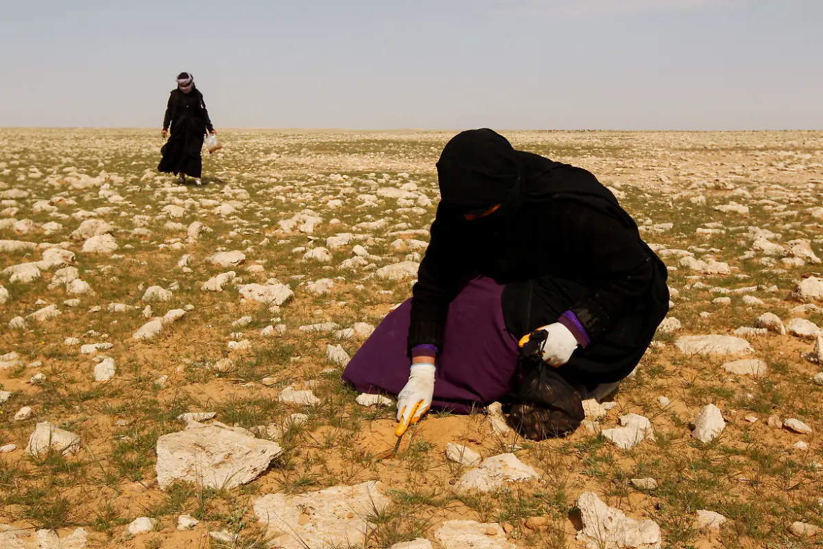 2021-03-16T100047Z-1484769151-RC2ACM9IAQGG-RTRMADP-3-IRAQ-TRUFFLES