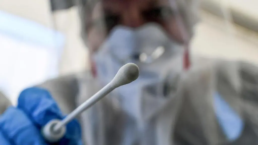 Ein-Abstrichstaebchen-wird-in-die-Kamera-gehalten