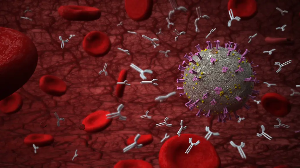 Coronavirus-Antikoerper