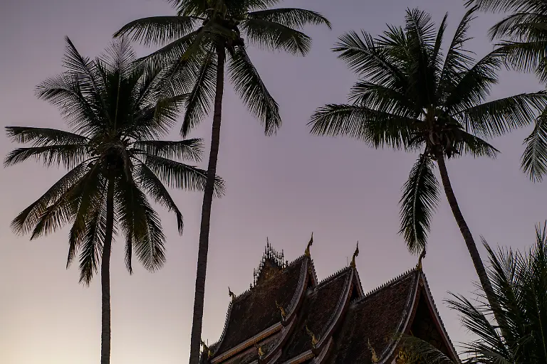 Bild-38-von-40-2019-12-01-036