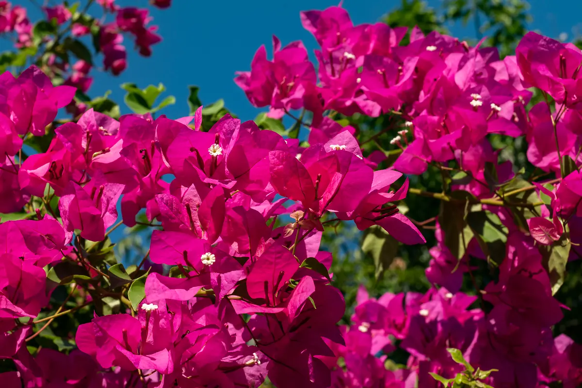 Bild-37-von-40-2019-12-01-019