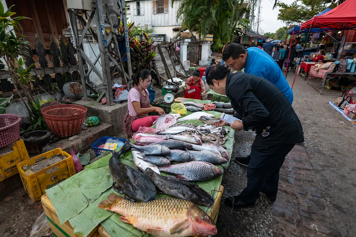 Bild-28-von-40-2019-11-29-024