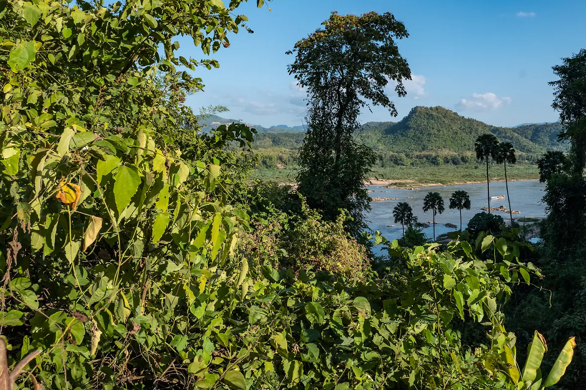 Bild-19-von-40-2019-11-27-044