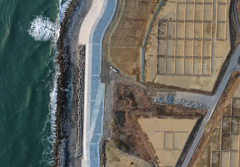 2021-03-03T230153Z-1564957422-RC2Z3M9NA18Y-RTRMADP-3-JAPAN-FUKUSHIMA-ANNIVERSARY-PETS