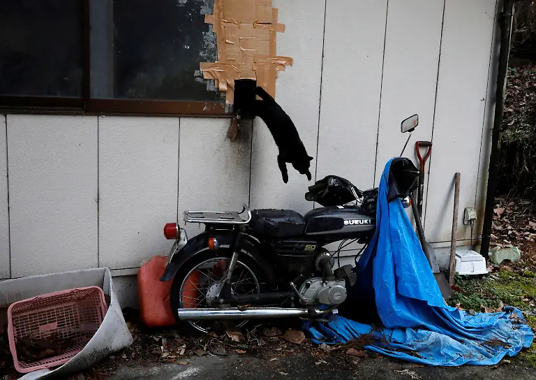 2021-03-03T230040Z-1678465060-RC2Z3M9IDQLE-RTRMADP-3-JAPAN-FUKUSHIMA-ANNIVERSARY-PETS