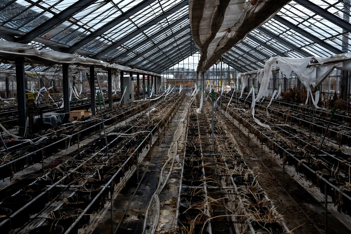 2020-03-11T124232Z-1402572159-RC2OHF91S3YD-RTRMADP-3-JAPAN-FUKUSHIMA-ANNIVERSARY