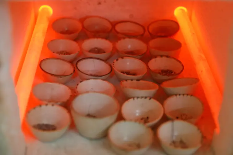 2021-02-22T100222Z-1791660318-RC2MXL9R7XKH-RTRMADP-3-KENYA-LOCUSTS-HARVESTING