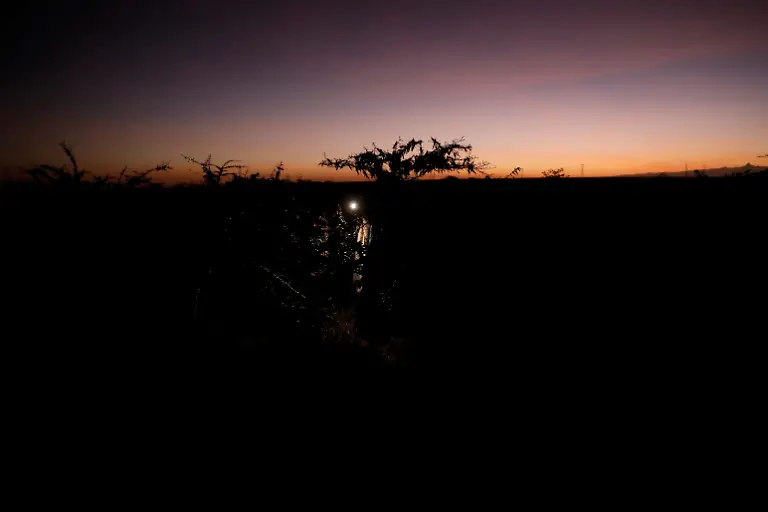 2021-02-22T100214Z-1259950685-RC2MXL960P6A-RTRMADP-3-KENYA-LOCUSTS-HARVESTING