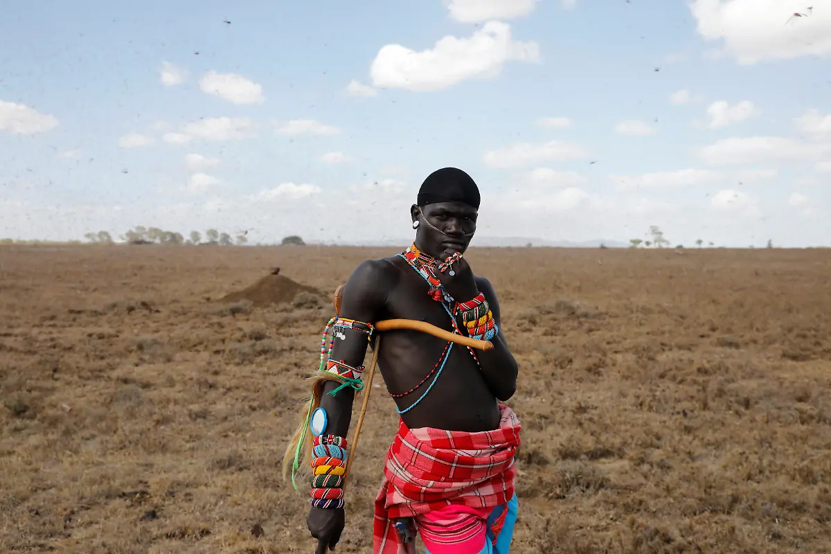 2021-02-22T100209Z-806253674-RC2MXL9IUZTU-RTRMADP-3-KENYA-LOCUSTS-HARVESTING