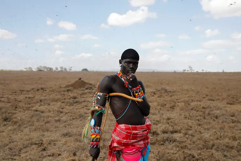 2021-02-22T100209Z-806253674-RC2MXL9IUZTU-RTRMADP-3-KENYA-LOCUSTS-HARVESTING