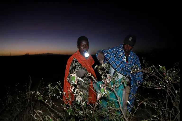 2021-02-22T100133Z-1820778803-RC2MXL9KD86W-RTRMADP-3-KENYA-LOCUSTS-HARVESTING