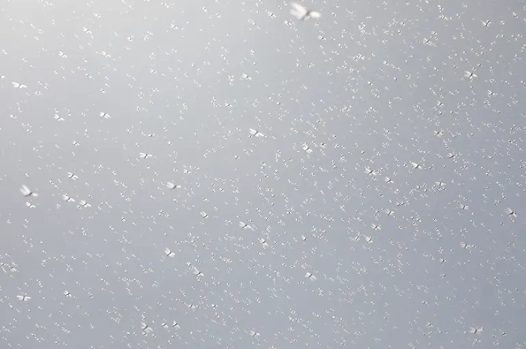 2021-02-22T100116Z-218266637-RC2MXL9UZW0K-RTRMADP-3-KENYA-LOCUSTS-HARVESTING