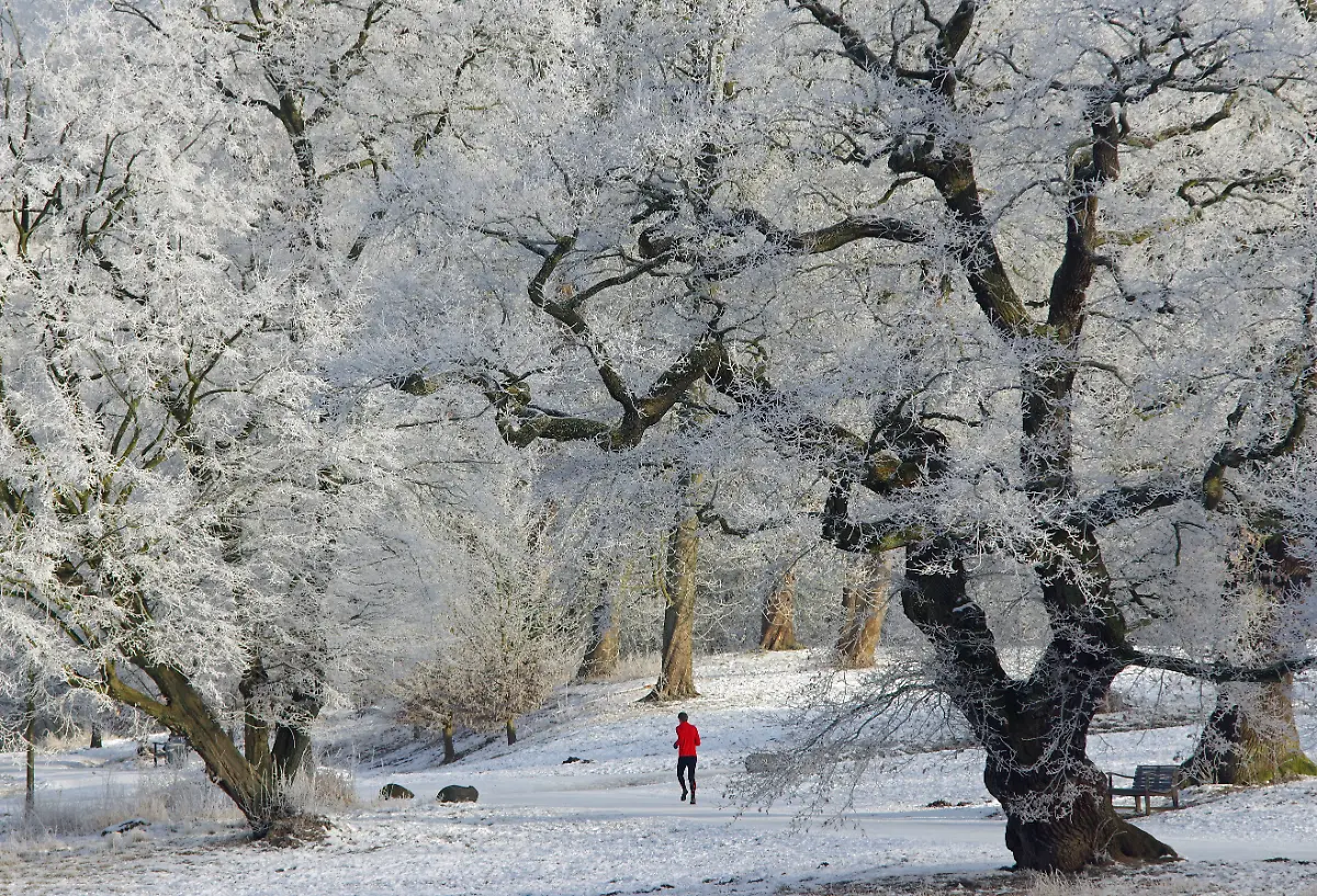 392249cd36f45d30ea80205f2aeee8a6