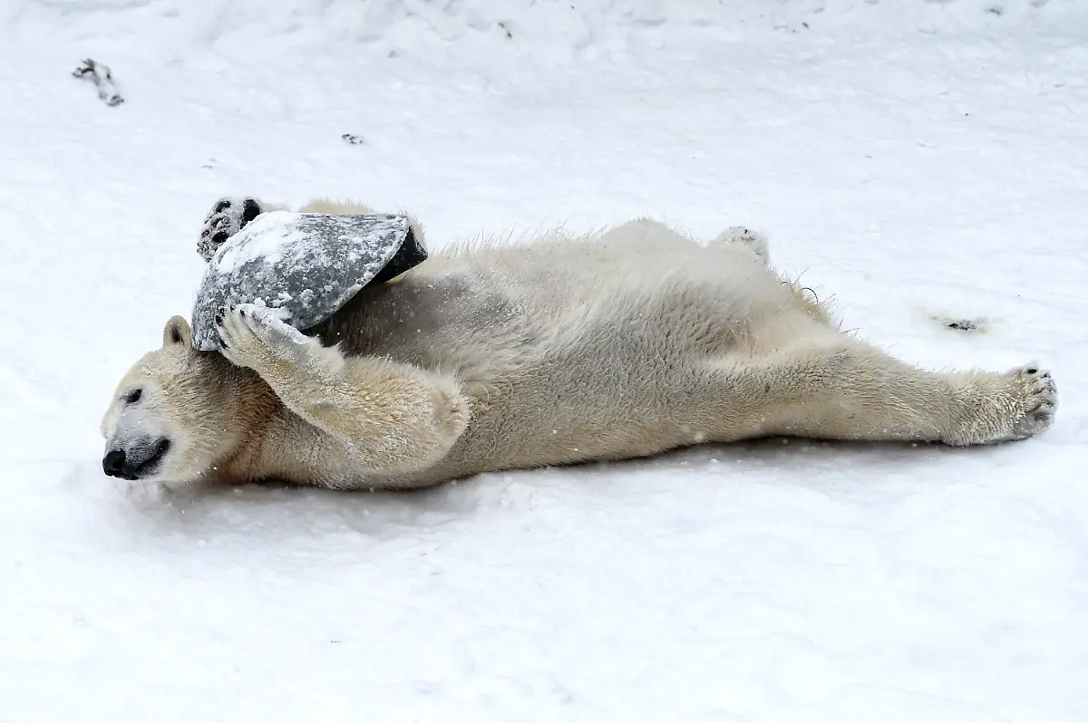 f0721943b7b7d6f59ef02664e04c1179