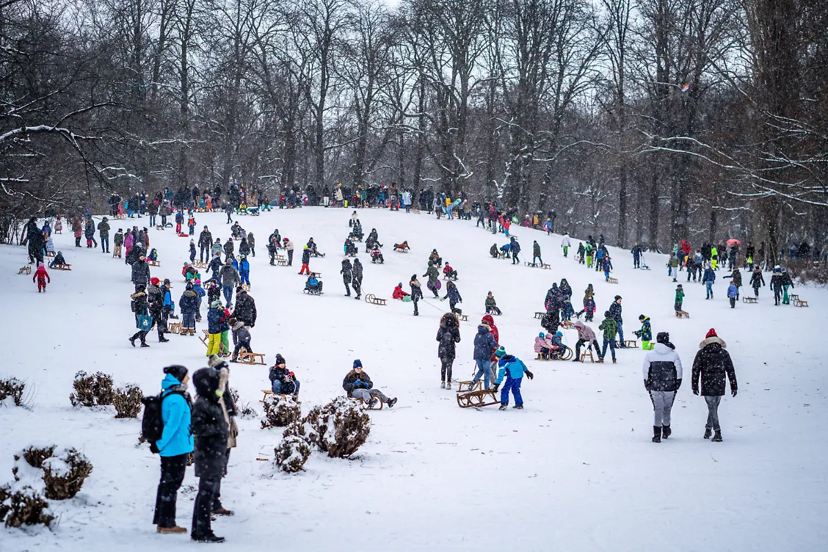 d659aa31d2625ea5c10c1ff36301e416